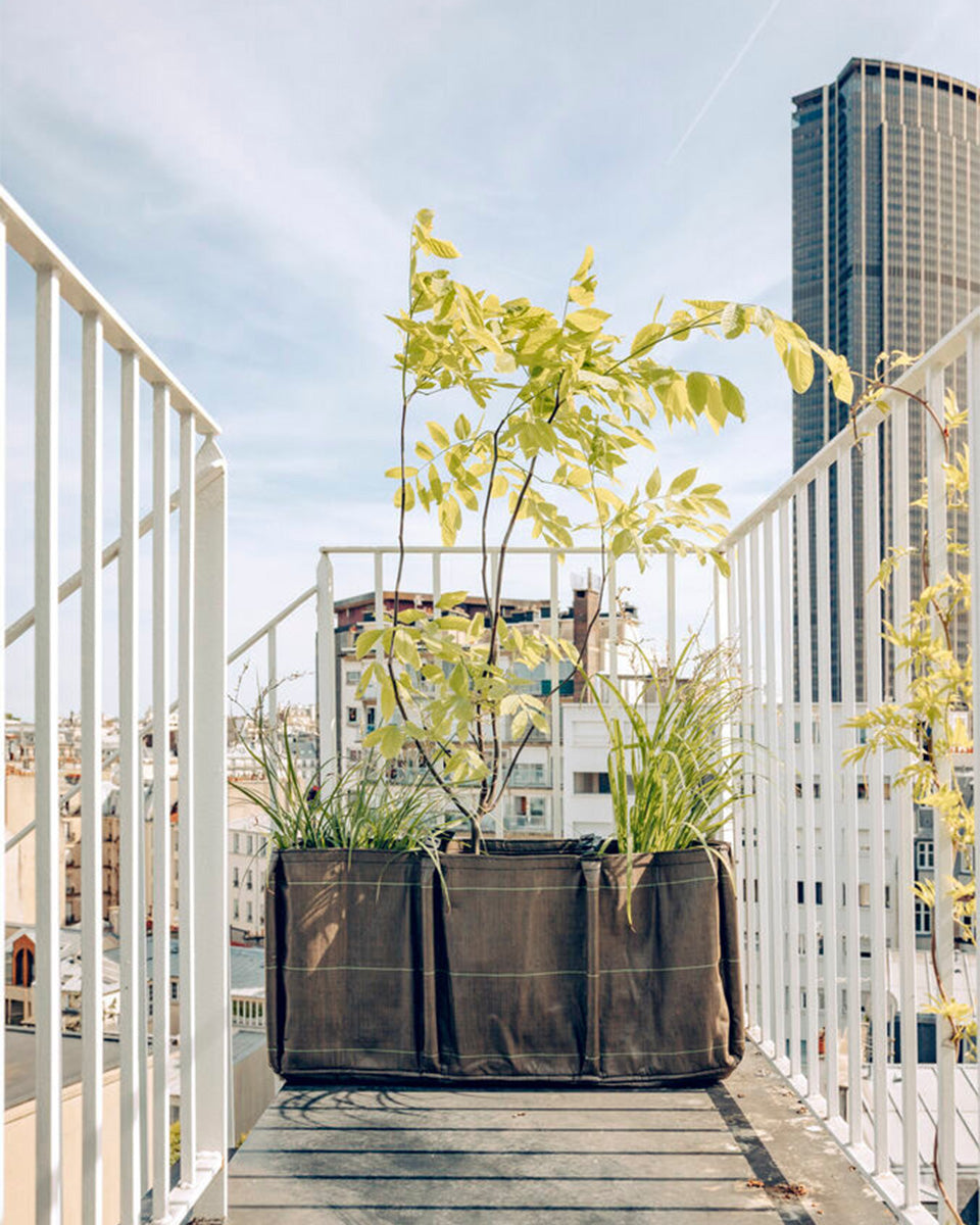 BACLONG - バックロング -