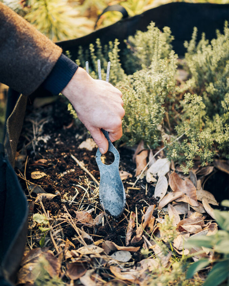 ACCESSORIES - アクセサリー -