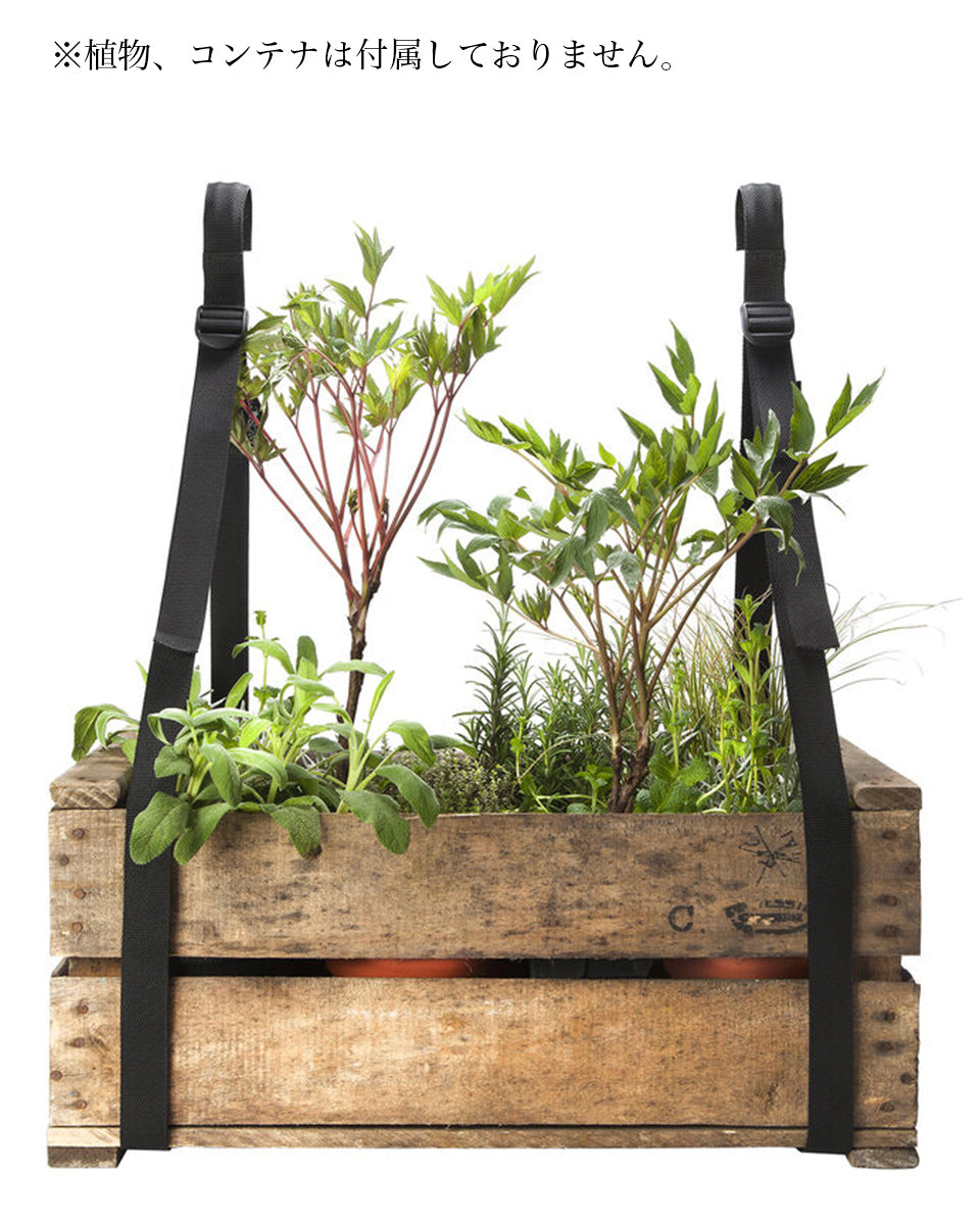 BRETELLES サスペンダー