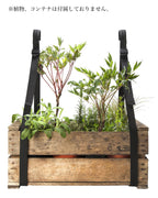 BRETELLES サスペンダー