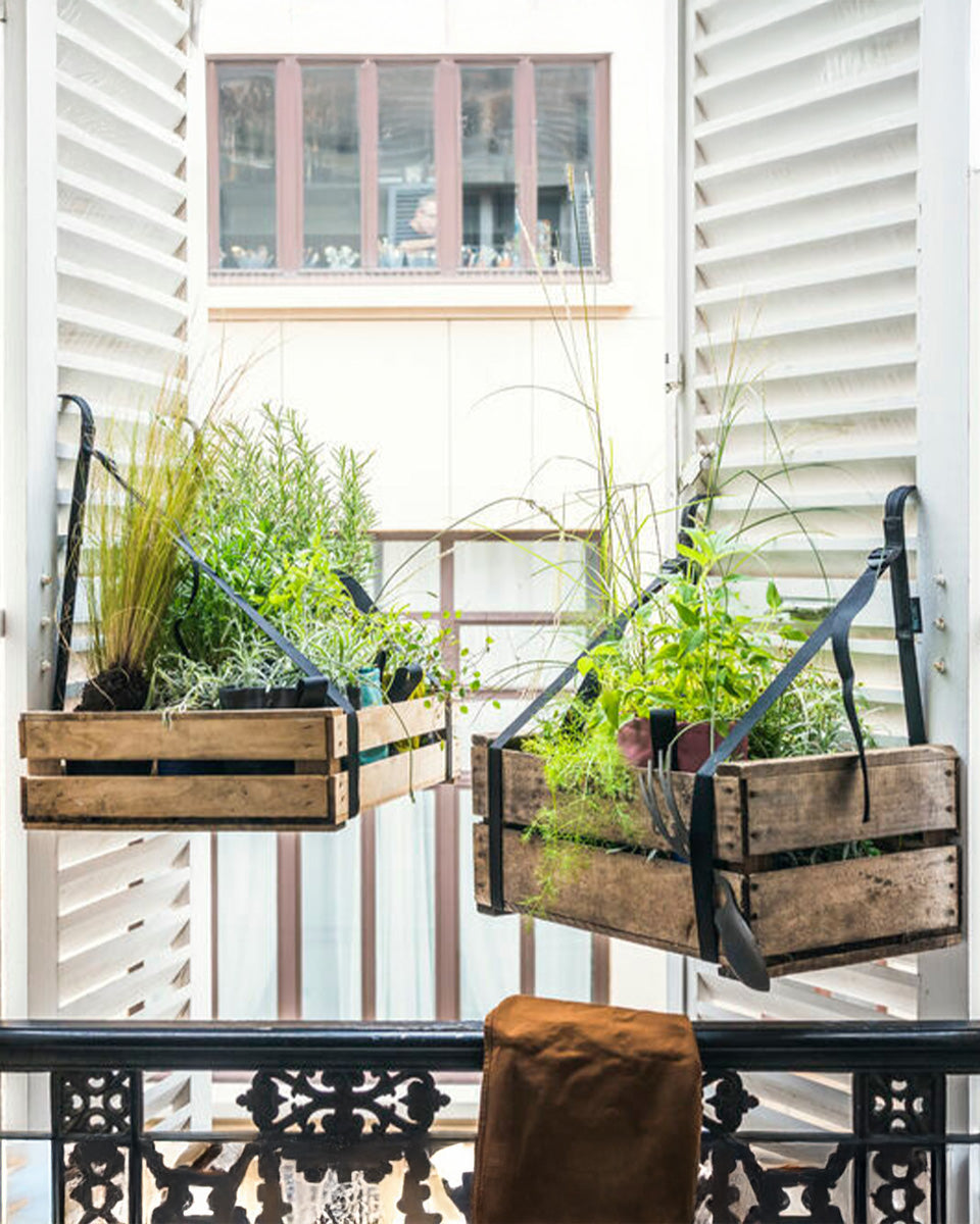 BRETELLES サスペンダー