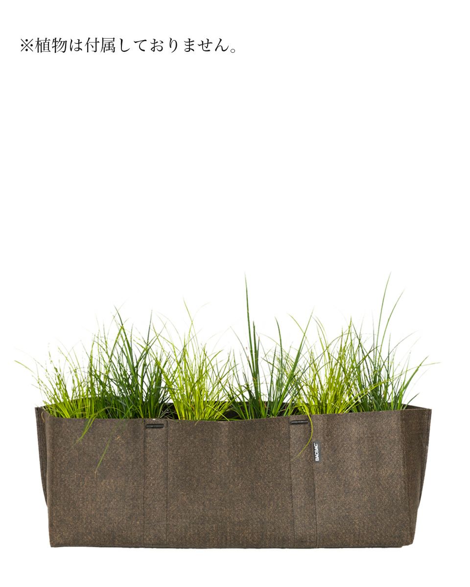 HUMUS GLOWING グローイング