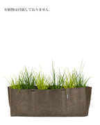 HUMUS GLOWING グローイング