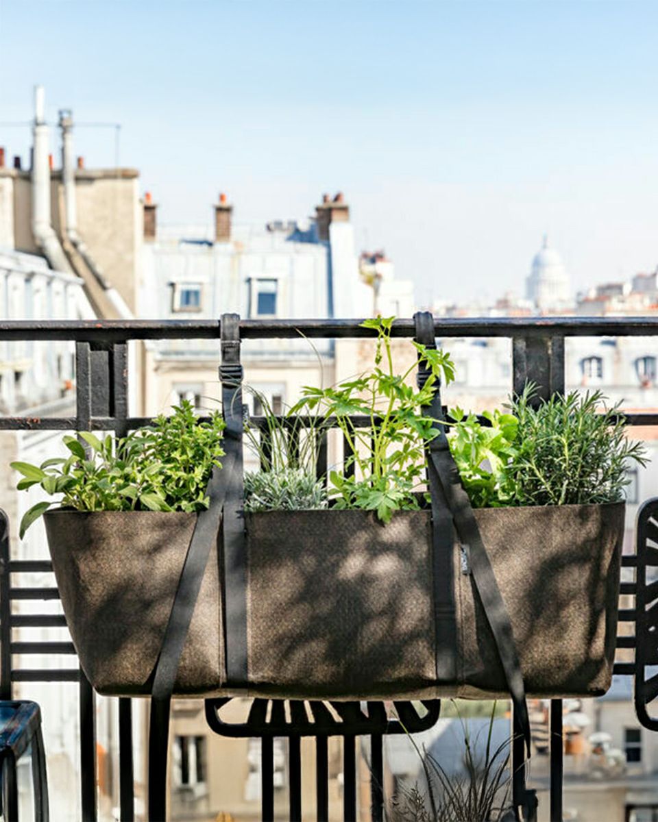 HUMUS GLOWING グローイング