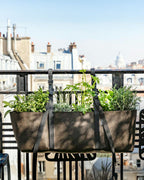 HUMUS GLOWING グローイング