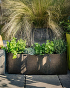 HUMUS GLOWING グローイング