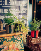 POT BATYLINE taupe ポット バティライン トープ 3L