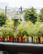 POT BATYLINE taupe ポット バティライン トープ 3L