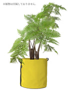 POT BATYLINE soleil ポット バティライン ソレイユ 100L