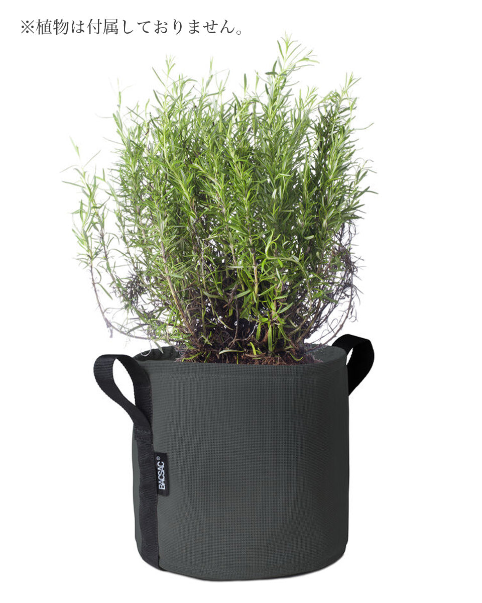 POT BATYLINE asphalte ポット バティライン アスファルト 10L