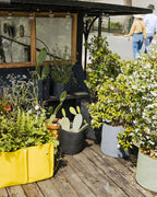 POT BATYLINE asphalte ポット バティライン アスファルト 10L