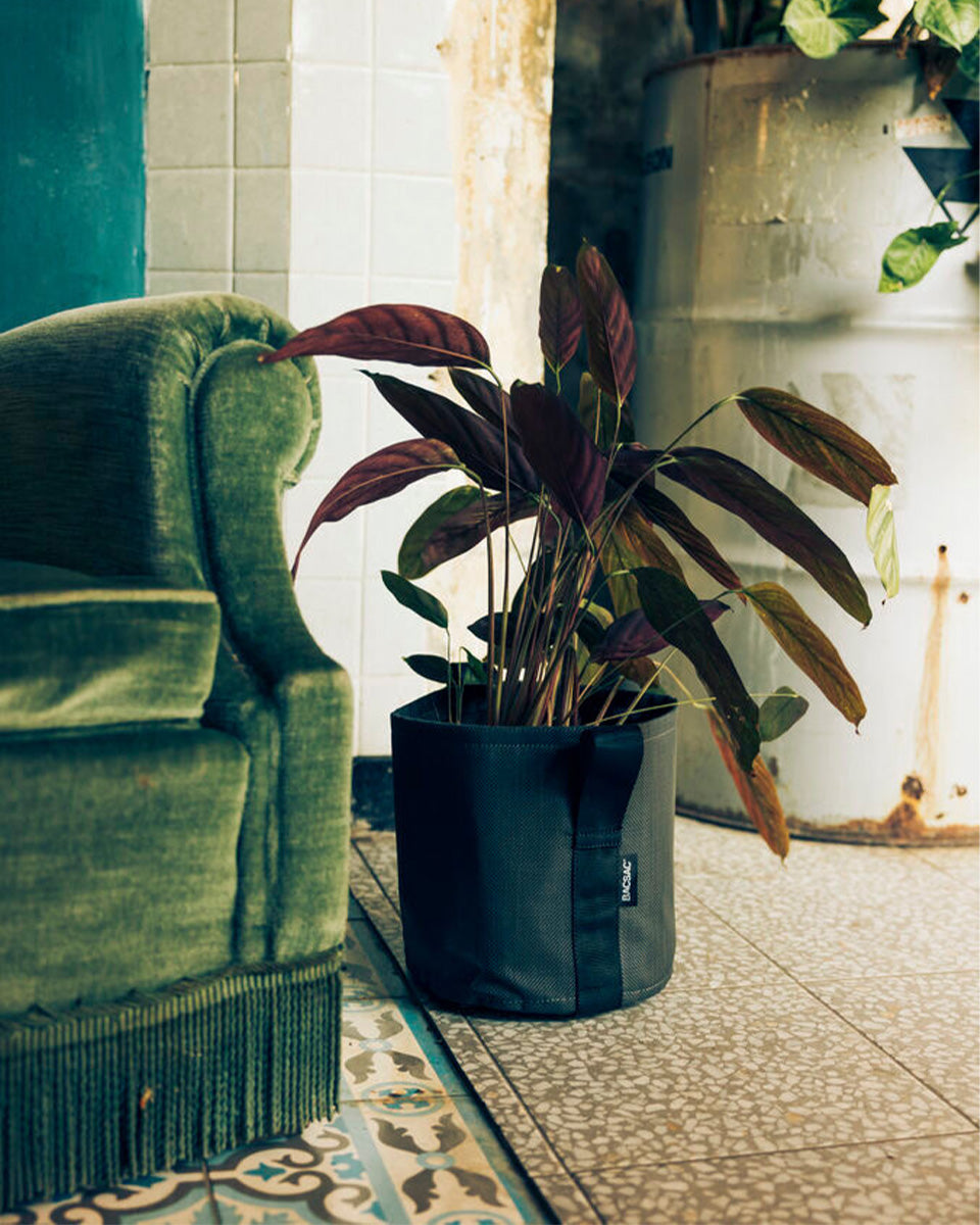 POT BATYLINE asphalte ポット バティライン アスファルト 10L