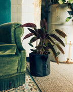 POT BATYLINE asphalte ポット バティライン アスファルト 10L