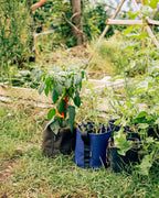 POT BATYLINE indigo ポット バティライン インディゴ 10L