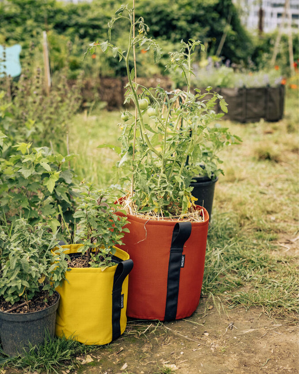 POT BATYLINE soleil ポット バティライン ソレイル 10L