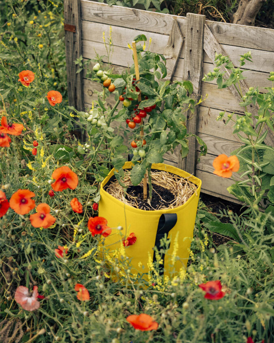 POT BATYLINE soleil ポット バティライン ソレイル 10L