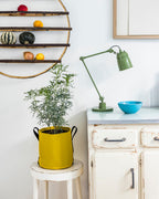 POT BATYLINE soleil ポット バティライン ソレイル 10L