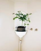 POT BATYLINE taupe ポット バティライン トープ 10L