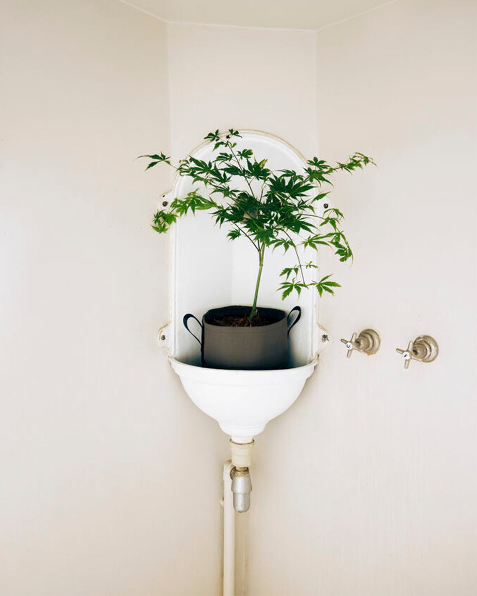 POT BATYLINE taupe ポット バティライン トープ 10L