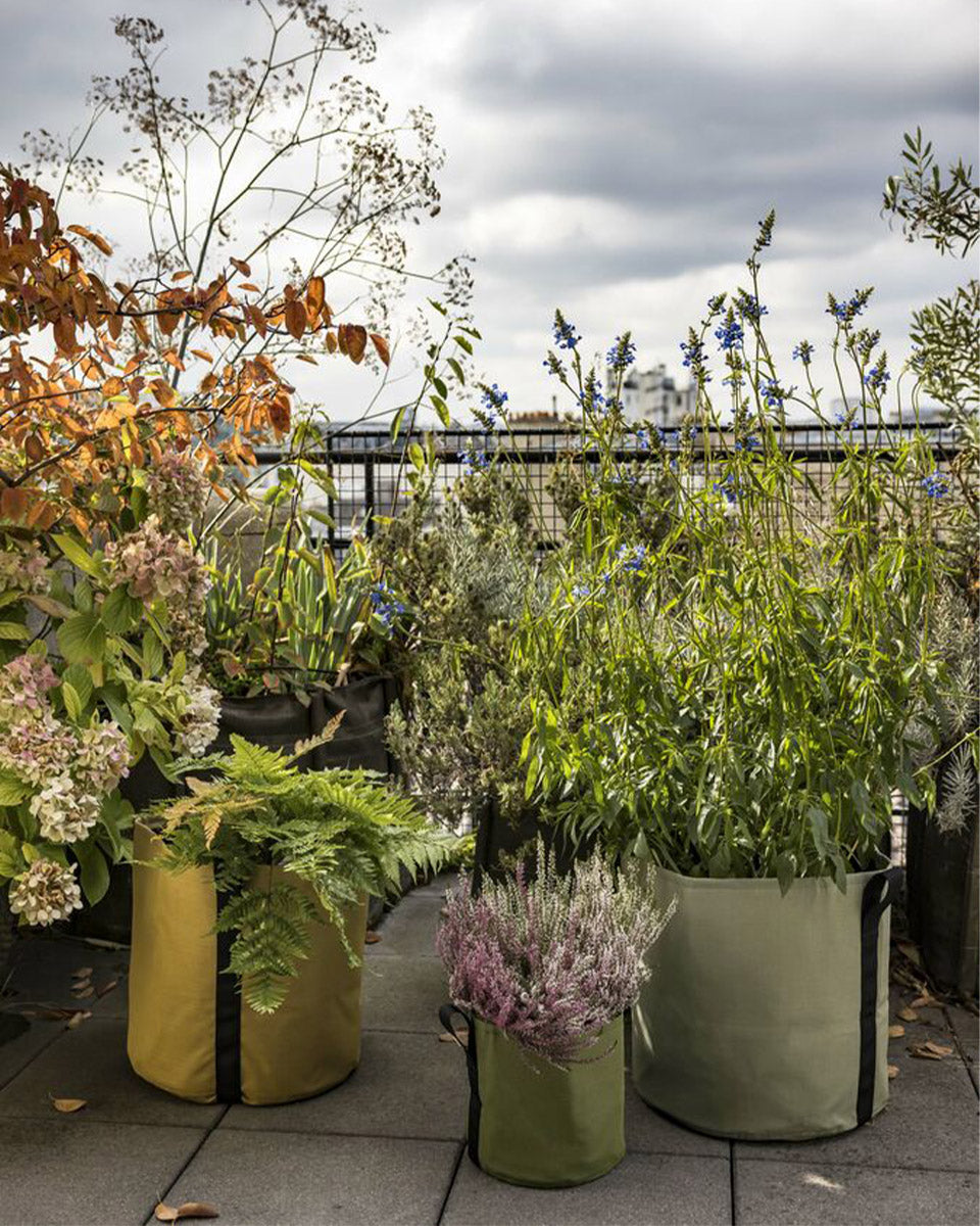 POT BATYLINE asphalte ポット バティライン アスファルト 10L