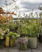 POT BATYLINE asphalte ポット バティライン アスファルト 10L