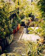 POT BATYLINE pave ポット バティライン ペーブ 25L