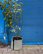 POT BATYLINE yucca ポット バティライン ユッカ 25L