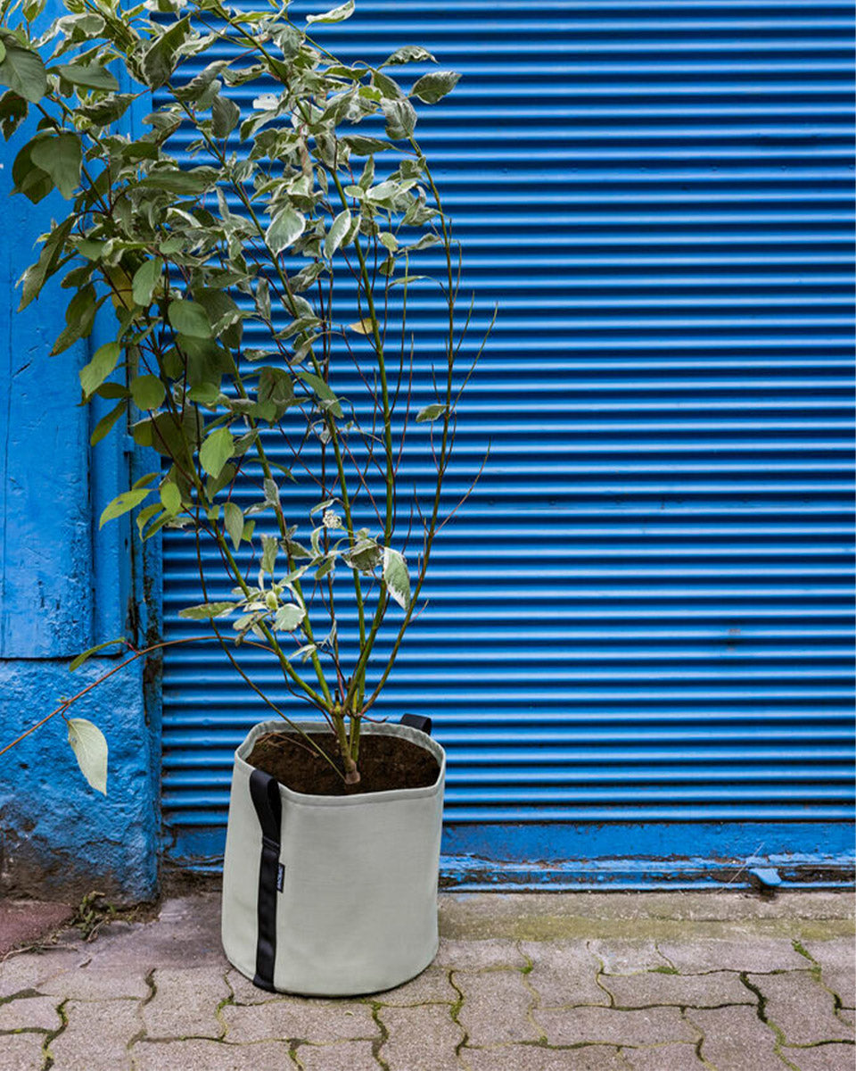 POT BATYLINE yucca ポット バティライン ユッカ 25L