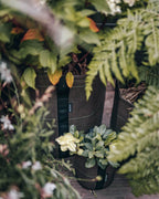 POT CLASSIC ポット クラシック 3L