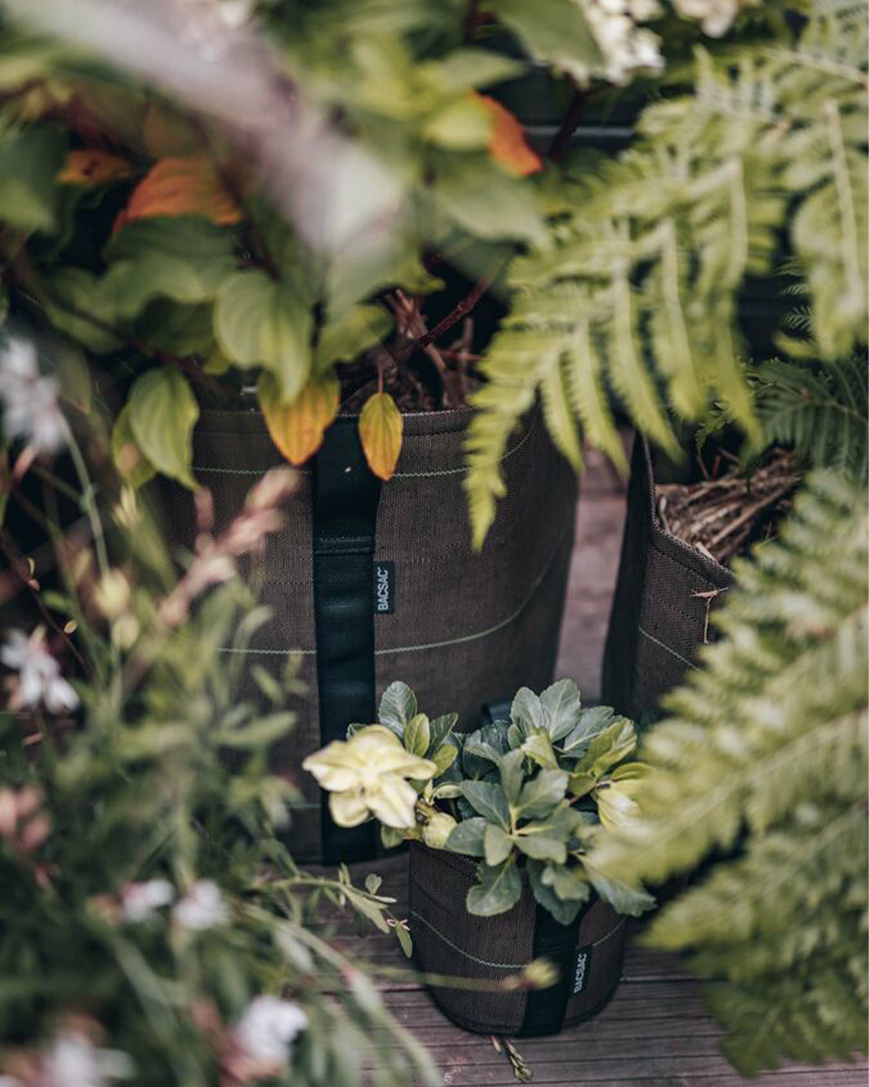 POT CLASSIC ポット クラシック 3L