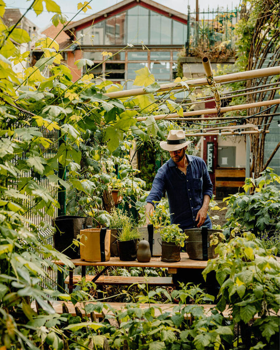 POT CLASSIC ポット クラシック 3L