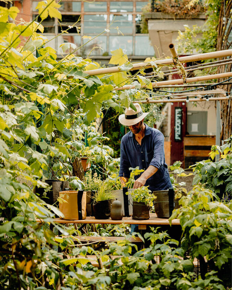 POT CLASSIC ポット クラシック 3L