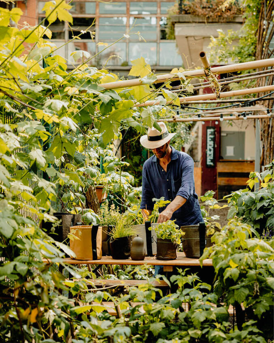 POT CLASSIC ポット クラシック 3L