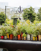 POT BATYLINE soleil ポット バティライン ソレイル 3L