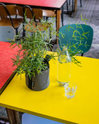 POT BATYLINE taupe ポット バティライン トープ 3L