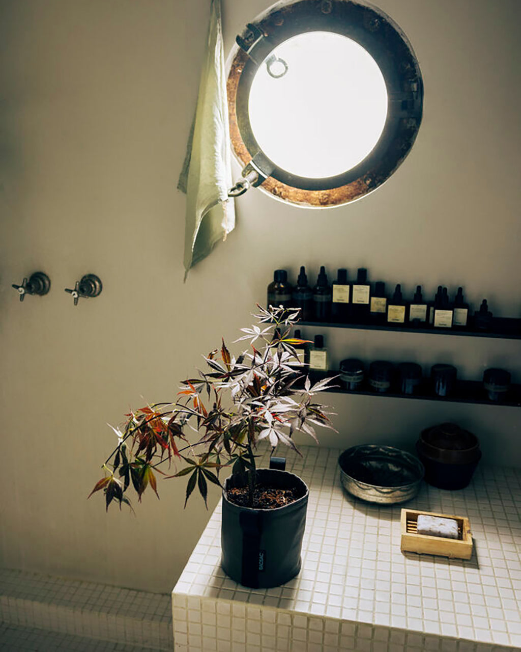 POT BATYLINE taupe ポット バティライン トープ 3L