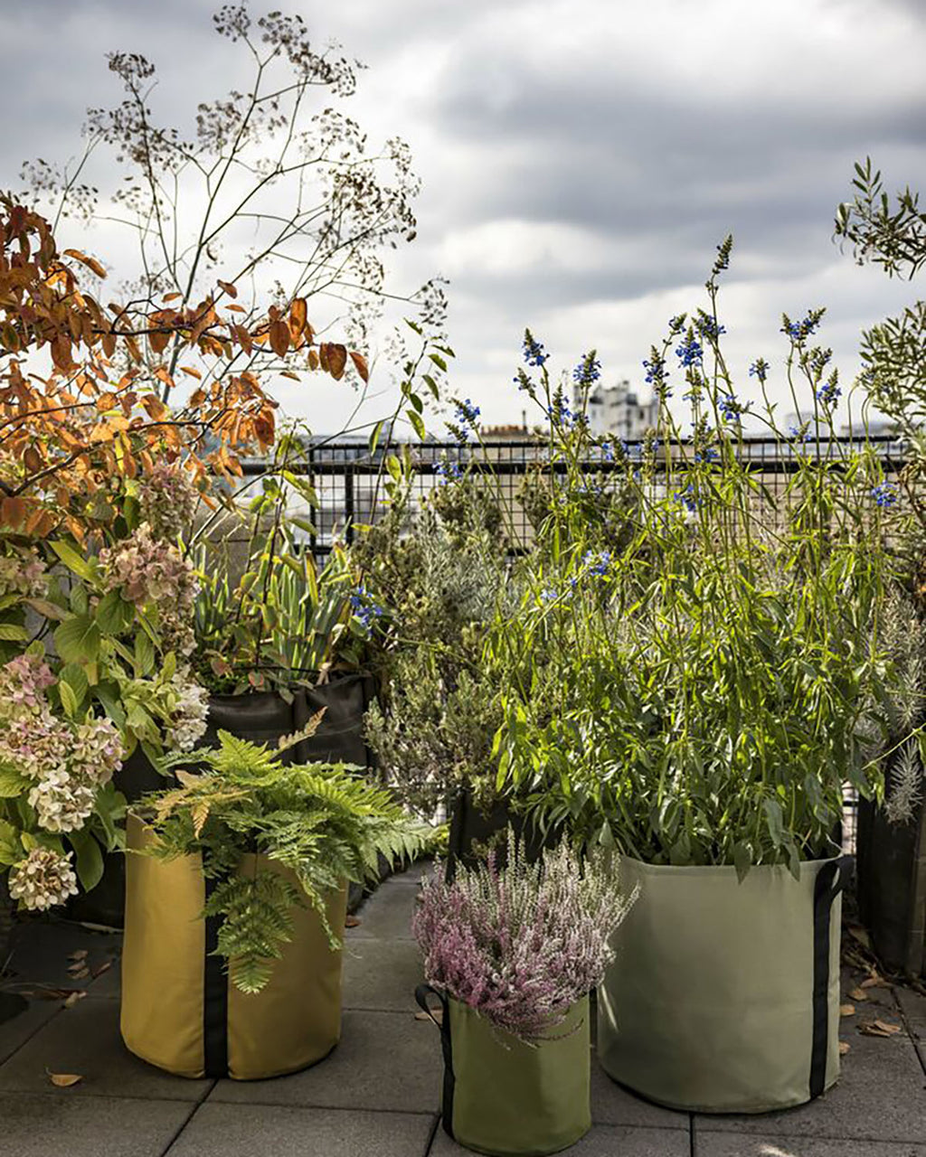 POT BATYLINE yucca ポット バティライン ユッカ 3L