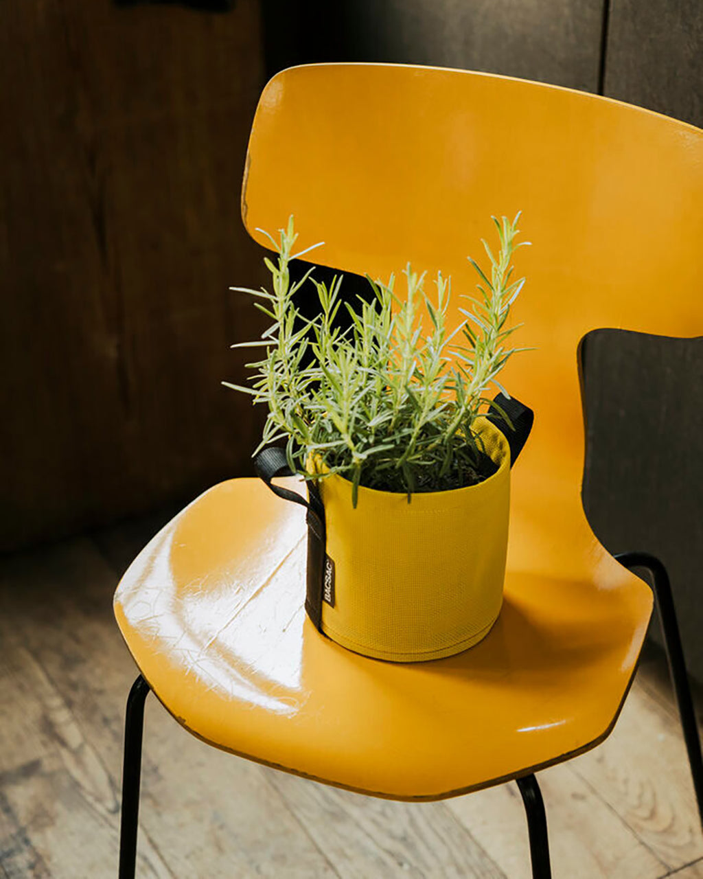 POT BATYLINE soleil ポット バティライン ソレイル 3L