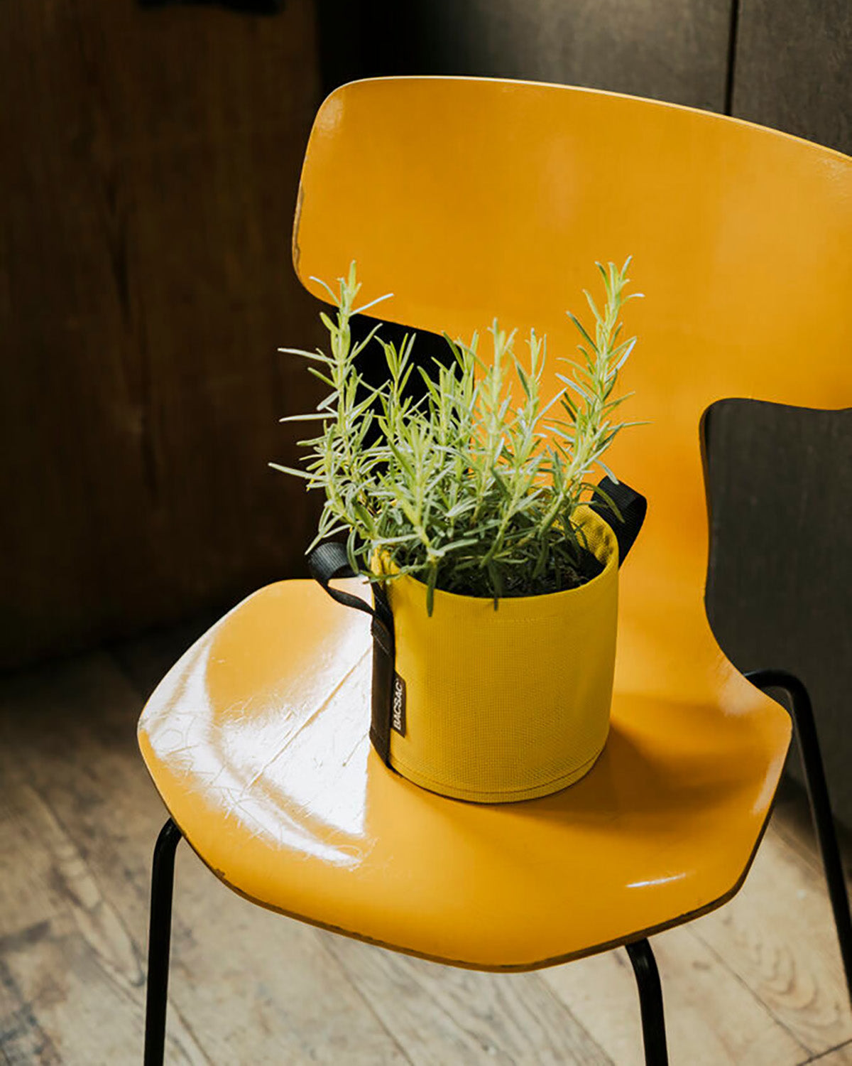 POT BATYLINE soleil ポット バティライン ソレイル 3L