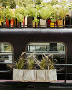 POT BATYLINE soleil ポット バティライン ソレイル 3L