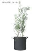 POT BATYLINE asphalte ポット バティライン アスファルト 50L