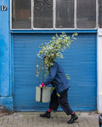 POT BATYLINE yucca ポット バティライン ユッカ 50L