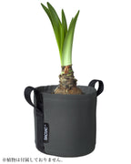 POT BATYLINE asphalte ポット バティライン アスファルト 3L