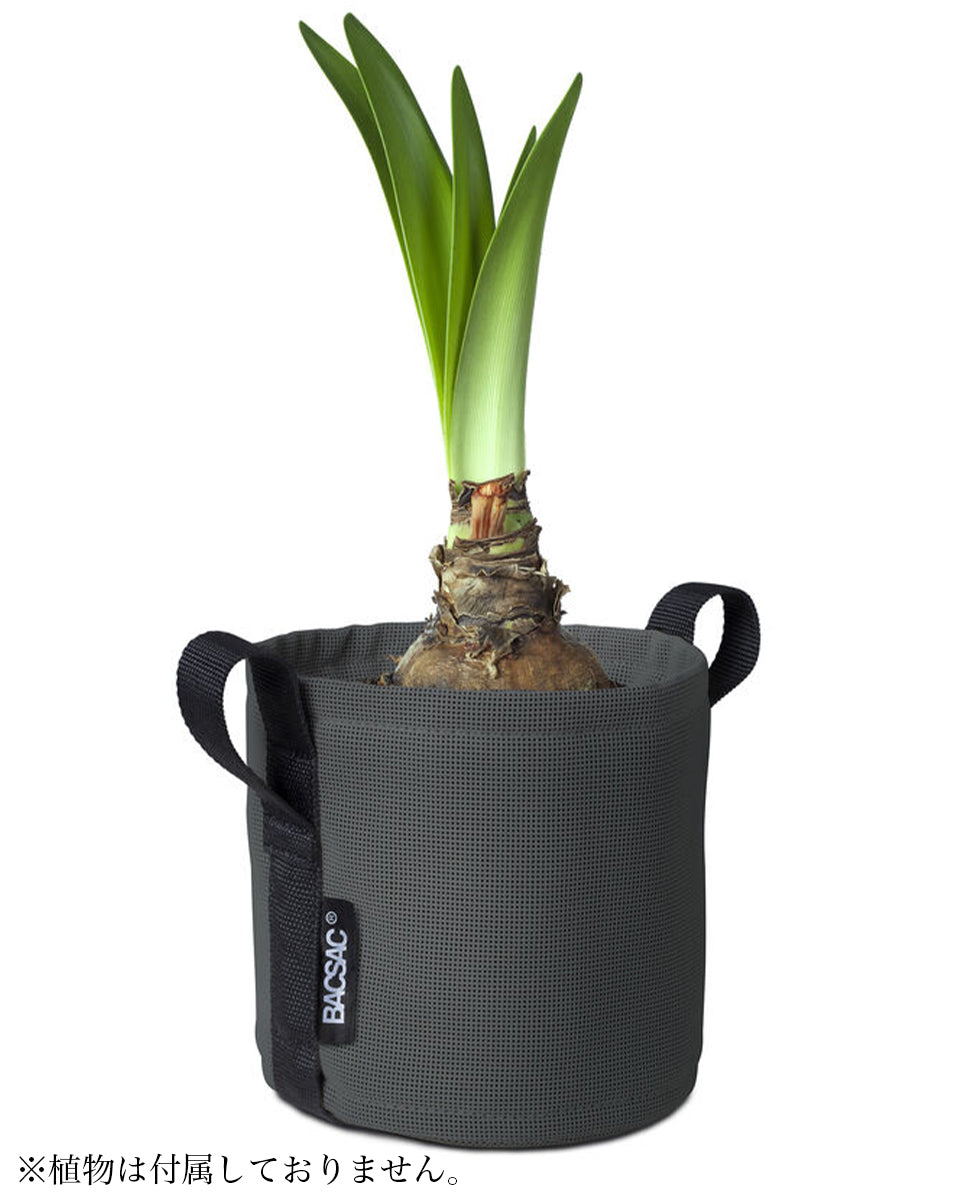 POT BATYLINE asphalte ポット バティライン アスファルト 3L