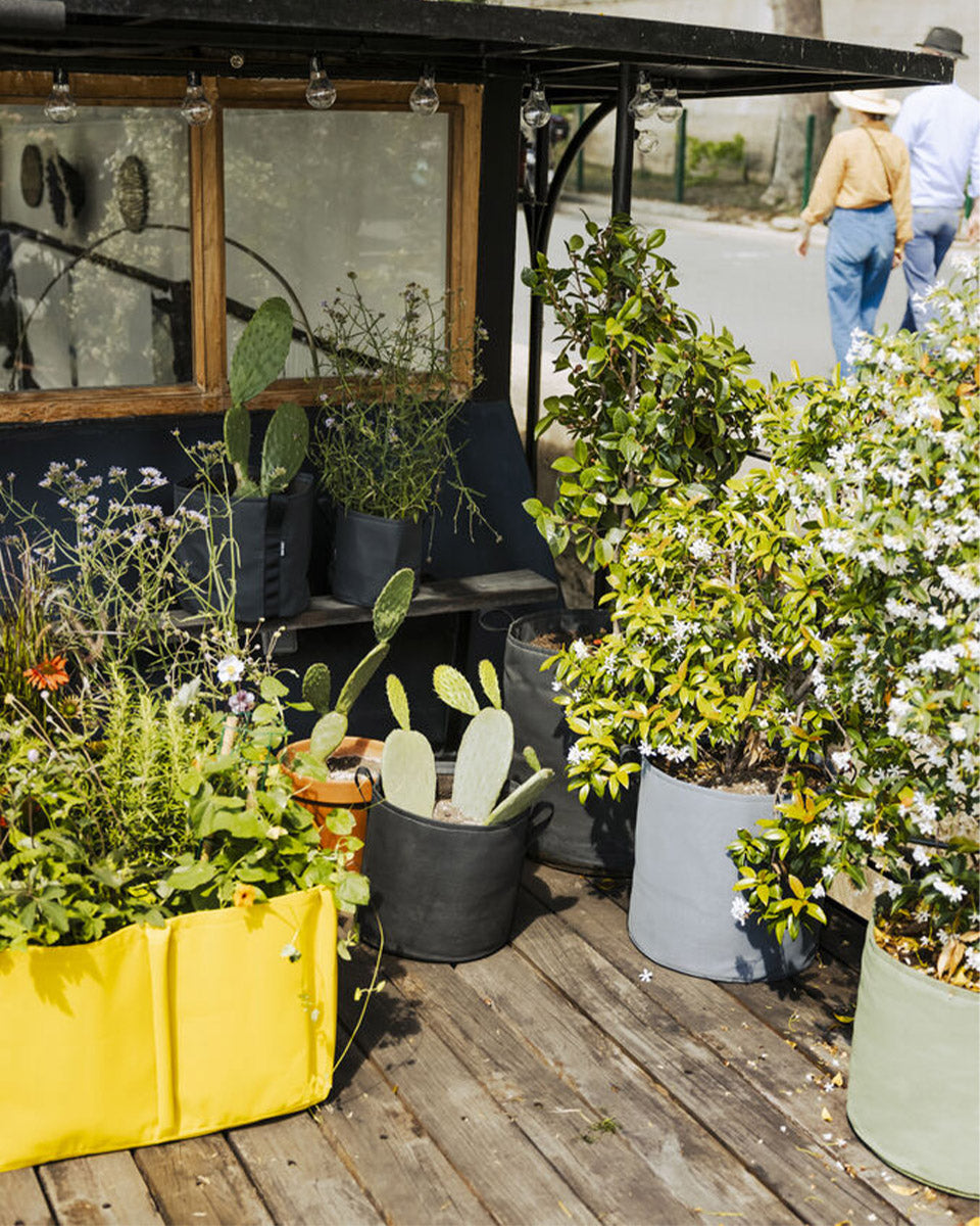 POT BATYLINE asphalte ポット バティライン アスファルト 3L