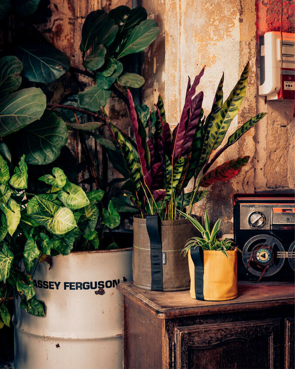 POT CLASSIC ポット クラシック 10L