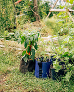 POT HUMUS ポット フムス 10L