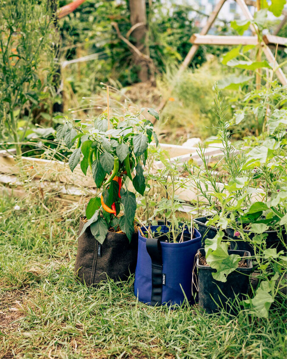 POT HUMUS ポット フムス 10L