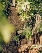 POT HUMUS ポット フムス 10L