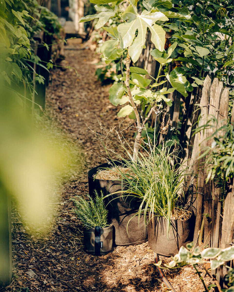 POT HUMUS ポット フムス 10L